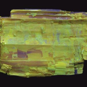 Aurypigment_Rosja_39